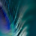 精品一区在线观看 vnfc78